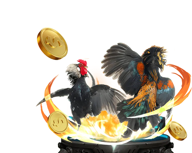 Các chương trình khuyến mãi và ưu đãi tại Vmax Đăng Nhập